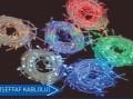 10 MT EKLENEBİLİR LED