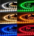 4040 DIŞ MEKAN ŞERİT LED GÜNIŞIĞI